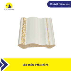Cổ trần 10 PS trắng vàng
