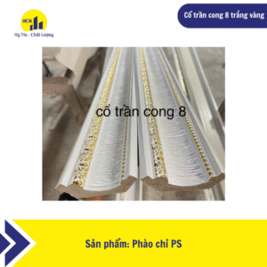 Cổ trần cong 8 trắng vàng